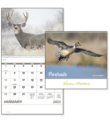 Wildlife Portraits - Spiral