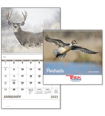 Wildlife Portraits - Spiral