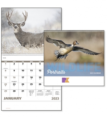 Wildlife Portraits - Spiral