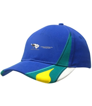 Brushed Heavy Cotton with Crown & Peak Inserts/Embroidery