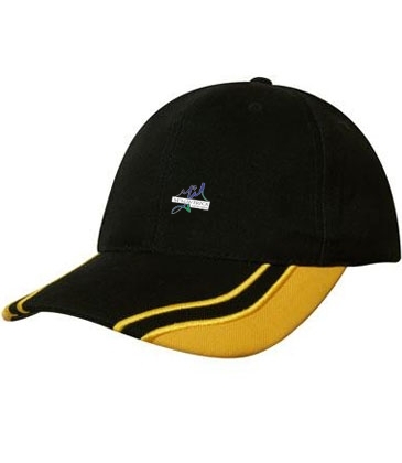 Brushed Heavy Cotton with Curved Peak Inserts