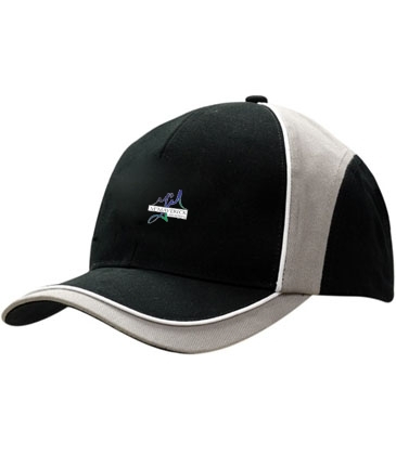 Brushed Heavy Cotton with Fabric Inserts/Piping