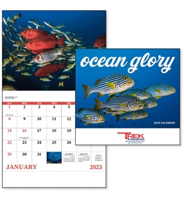 Ocean Glory - Stapled