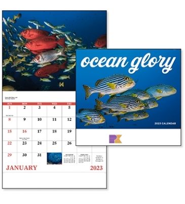 Ocean Glory - Stapled