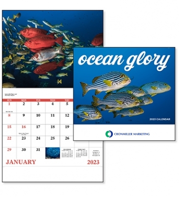 Ocean Glory - Stapled