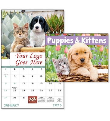 Puppies & Kittens - Window