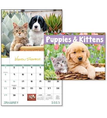 Puppies & Kittens - Window