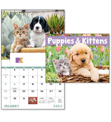 Puppies & Kittens - Window