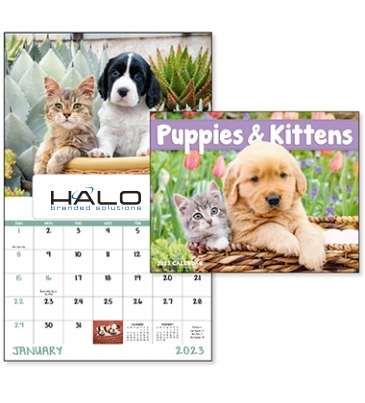 Puppies & Kittens - Window