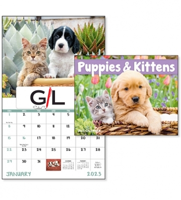 Puppies & Kittens - Window