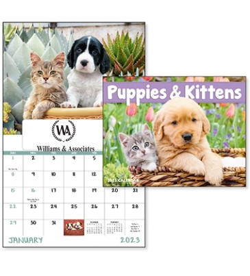 Puppies & Kittens - Window