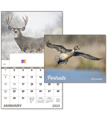 Wildlife Portraits - Window