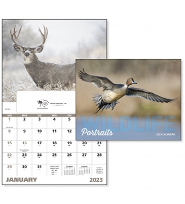 Wildlife Portraits - Window