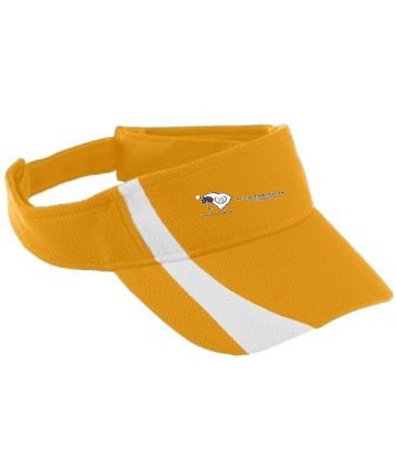 Youth Adjustable Wicking Mesh Two-Color Visor