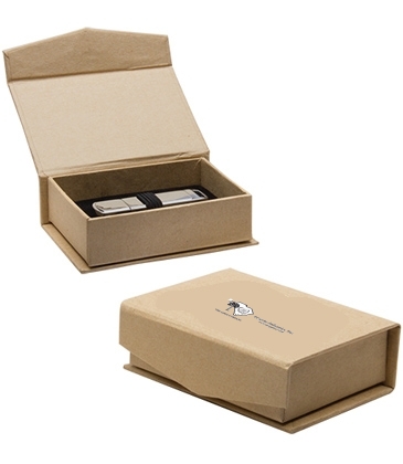 USB Kraft Box