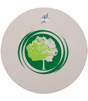 Round Absorbent Stone Coaster Duo