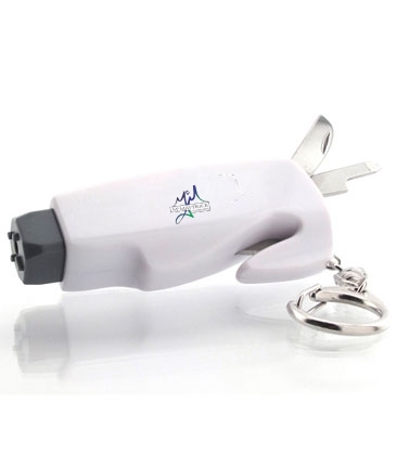 MultiTool Keychain