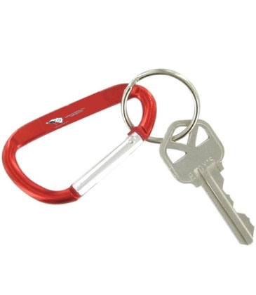 Carabiner Keychain