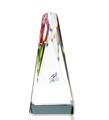 Influential Award