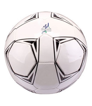 Baden Official Size Soccerball