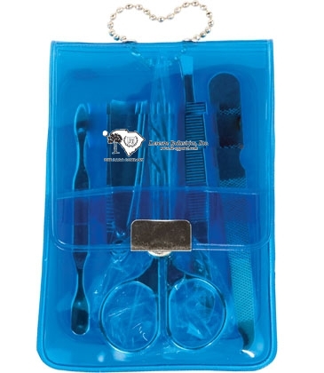 5-Piece Manicure Kit In Translucent Case
