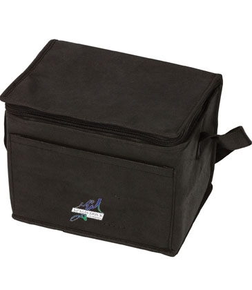 Insulated 6 Pack Cooler Bag