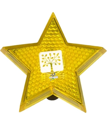 Star Flashing Light