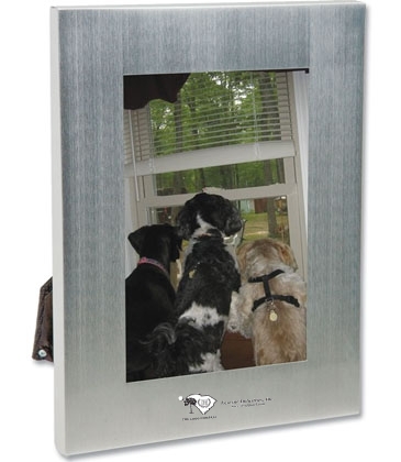 4" X 6" Bold Border Photo Frame