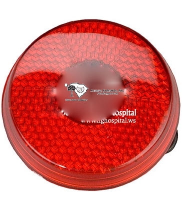 Round Flashing Light