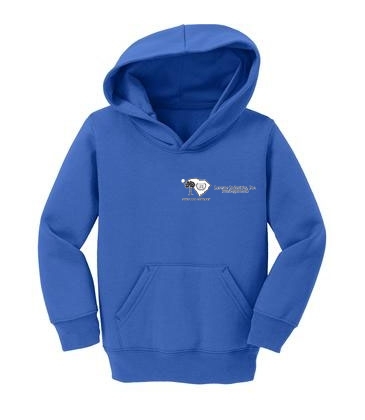 Port & Company® Toddler Core Fleece Pullover Hooded Sweatshirt