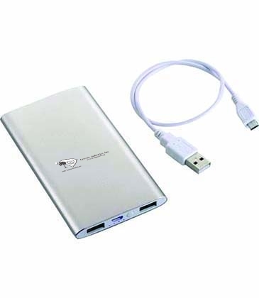 Sleek Aluminum 4000 mAh Power Bank