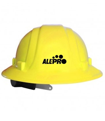 ANSI Safety Hard Hat