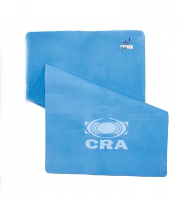 Chilly Icool Towel