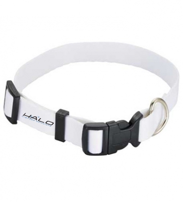 Full Color 3/4" Wide Pet Collar