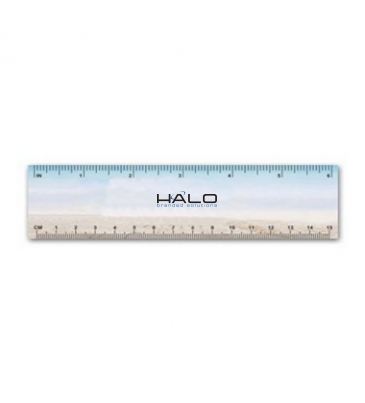Plastic Ruler / Bookmark