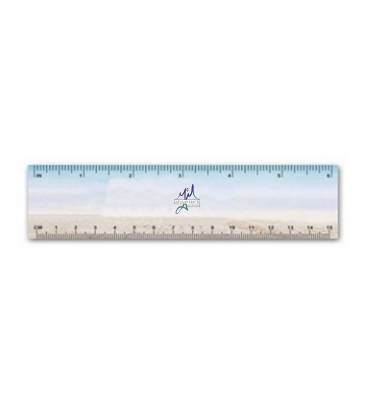 Plastic Ruler / Bookmark