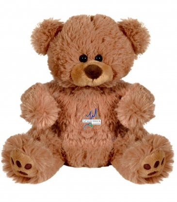 Plush Bear with Embroidered Paws and T-Shirt