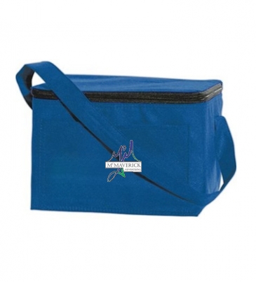 Explorer 6 Pack Cooler