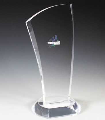 Progressive Award - 4” X 8”