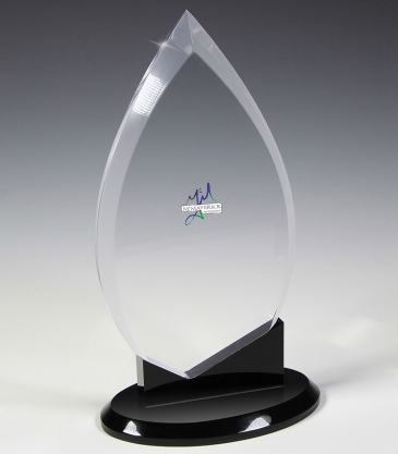 Century Acrylic Award