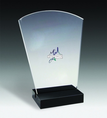Freedom Acrylic Award