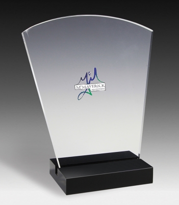 Freedom Acrylic Award