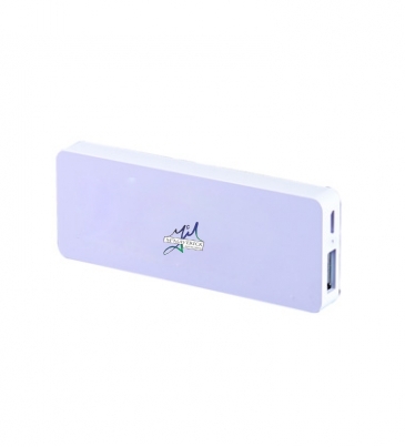 2500 Flat Plastic Power Bank