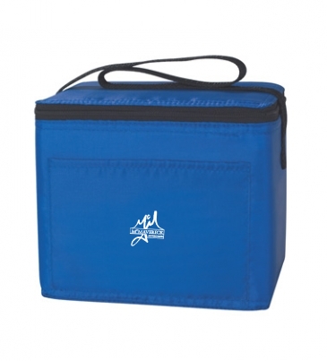 Budget Cooler Bag