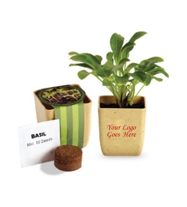 Flower Pot Set with Basil Seeds
