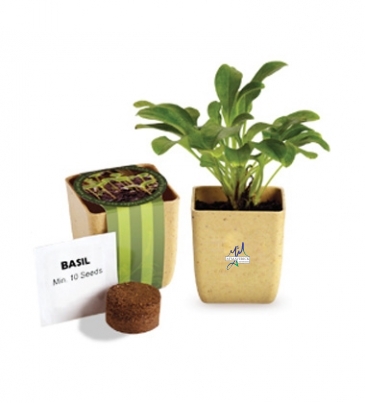 Flower Pot Set with Basil Seeds
