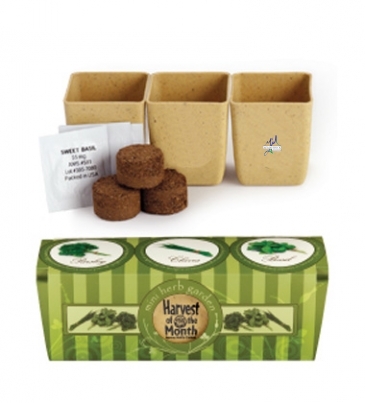 GrowPot Eco-Planter Herb 3-Pack