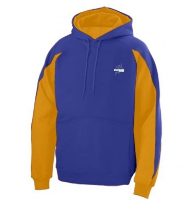 Youth Volt Hoodie