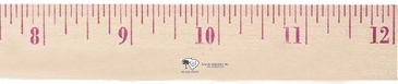 12" Natural Finish Wood Ruler