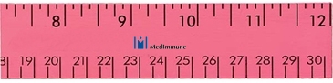 12" Fluorescent Wood Ruler - English & Metric Scale